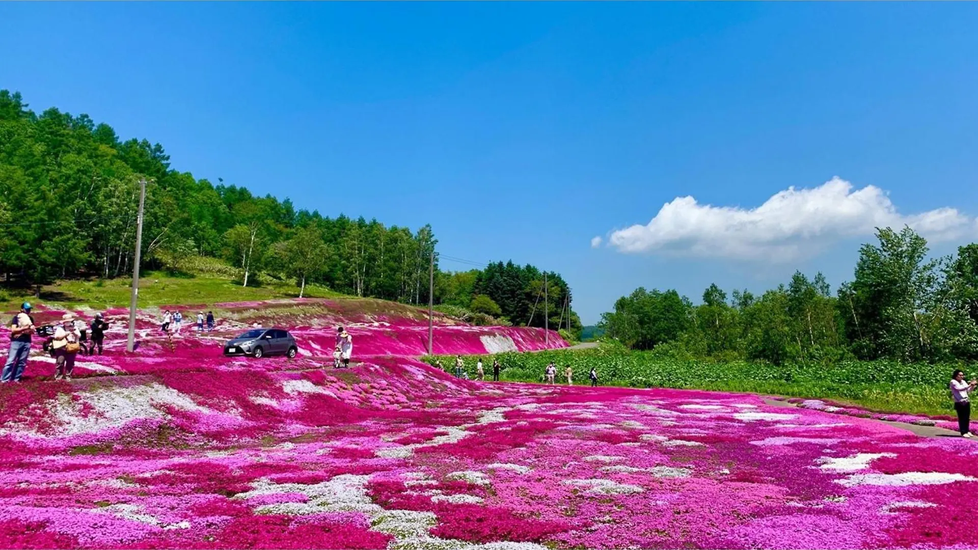호텔 Skye Niseko - Vacation Stay 41573V 일본