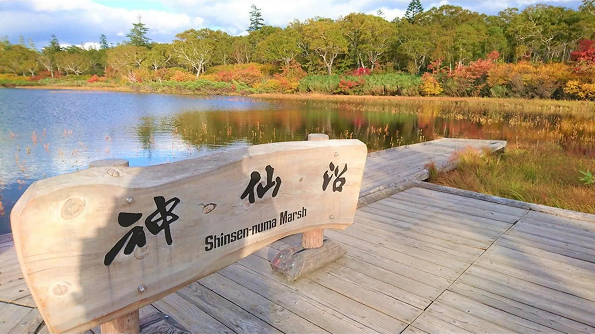 Skye Niseko - Vacation Stay 41573V 일본