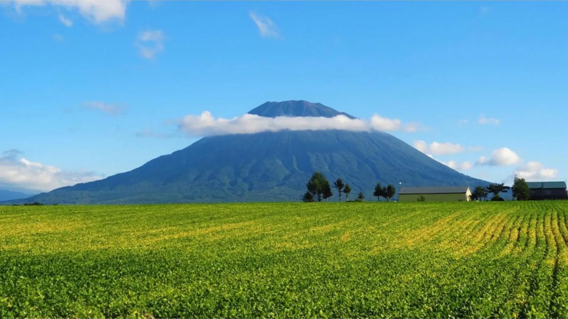 Szálloda Skye Niseko - Vacation Stay 41573V Japán